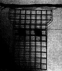 Single-Panel Mesh Dog Guard main view